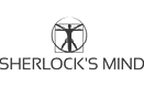 Sherlock's mind